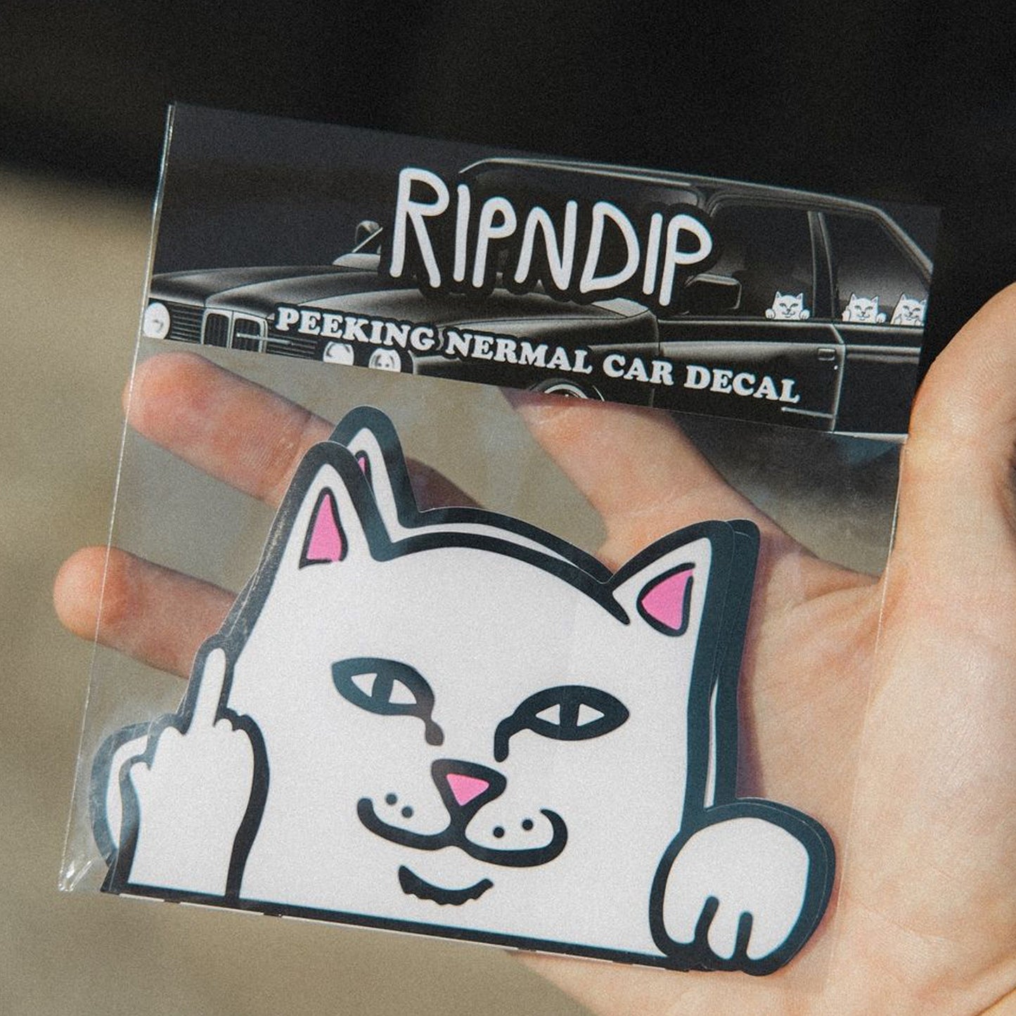 Peeking Nermal Car Sticker Pack (White)