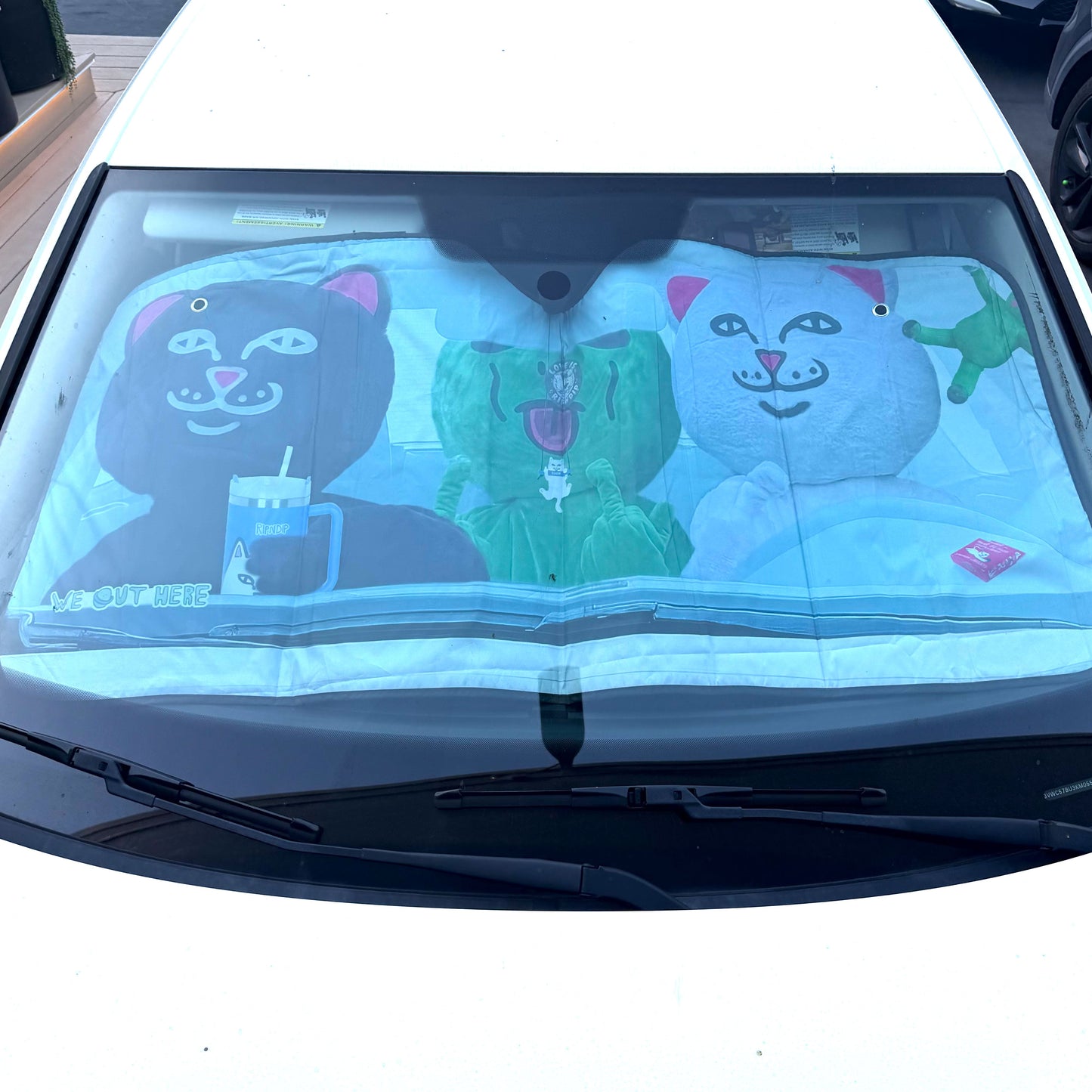 Real Photo Car Shade (Multi)