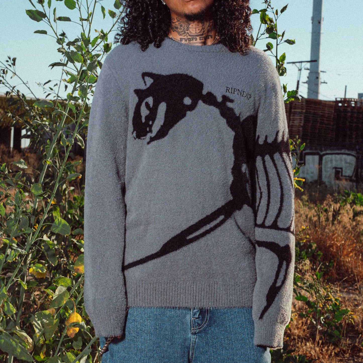 Fossil Mohair Knit Sweater (Charcoal)