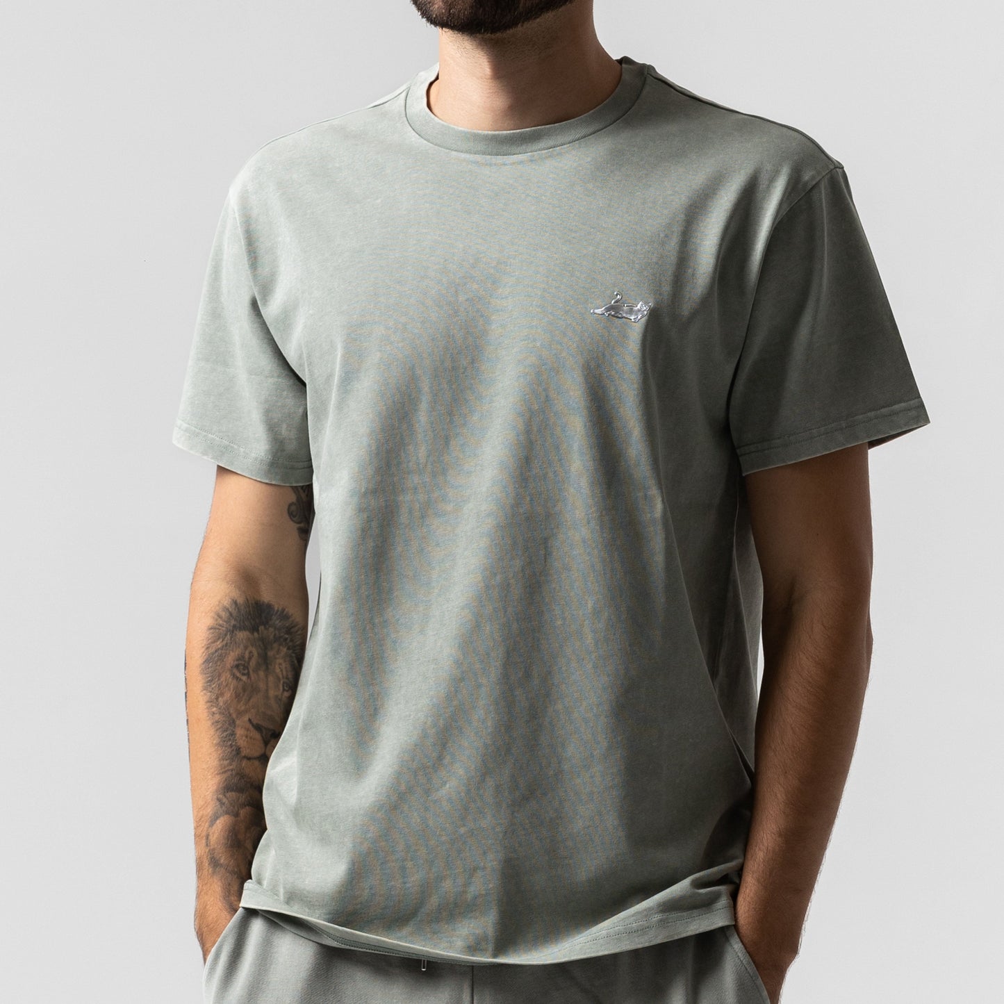 Castanza Short Sleeve Tee (Sage Vintage Wash)