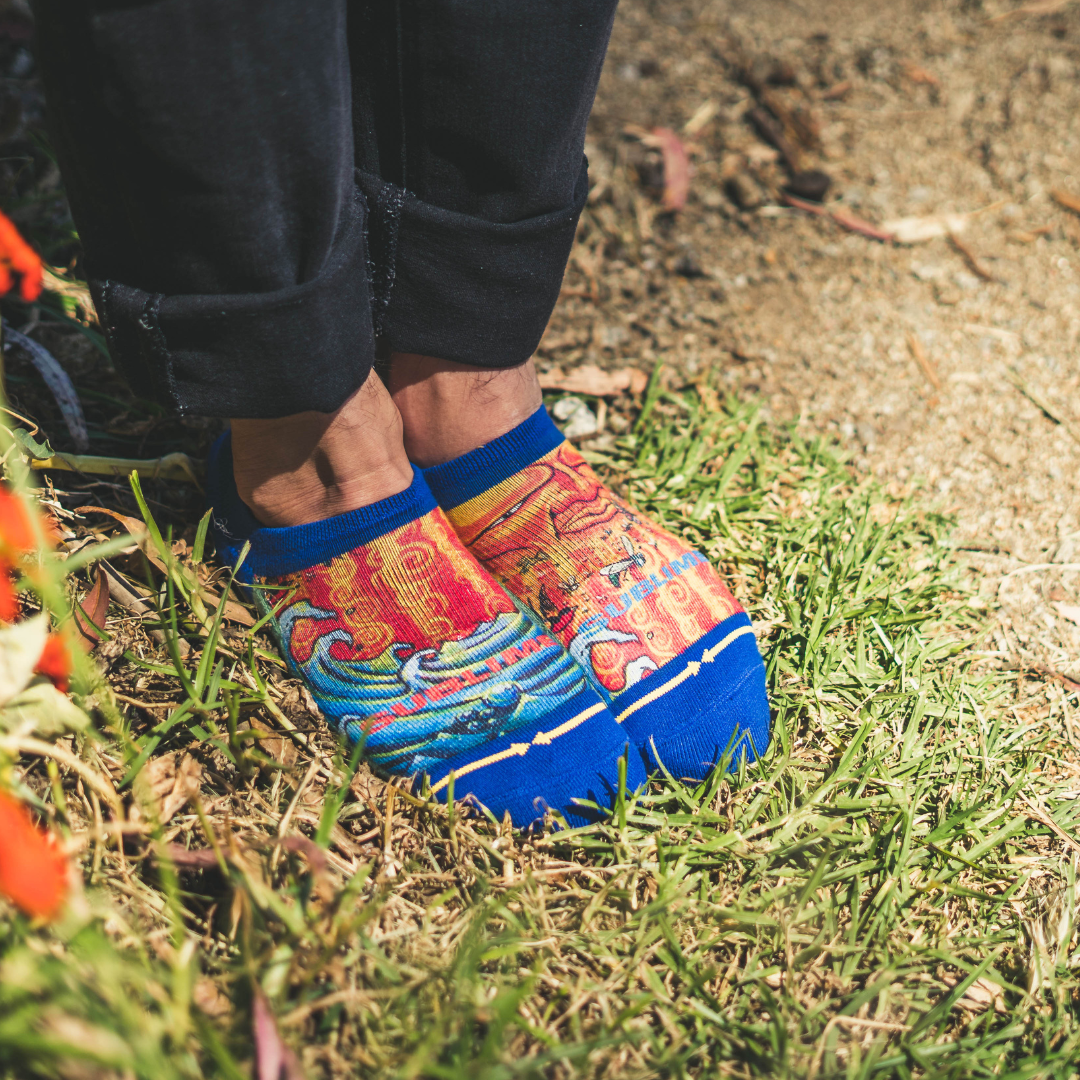 Sublime Everything Under The Sun No Show Socks