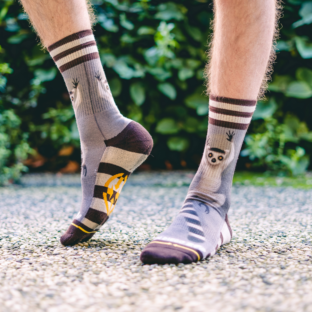 San Diego Zoo Ring-Tailed Lemur Crew Sock