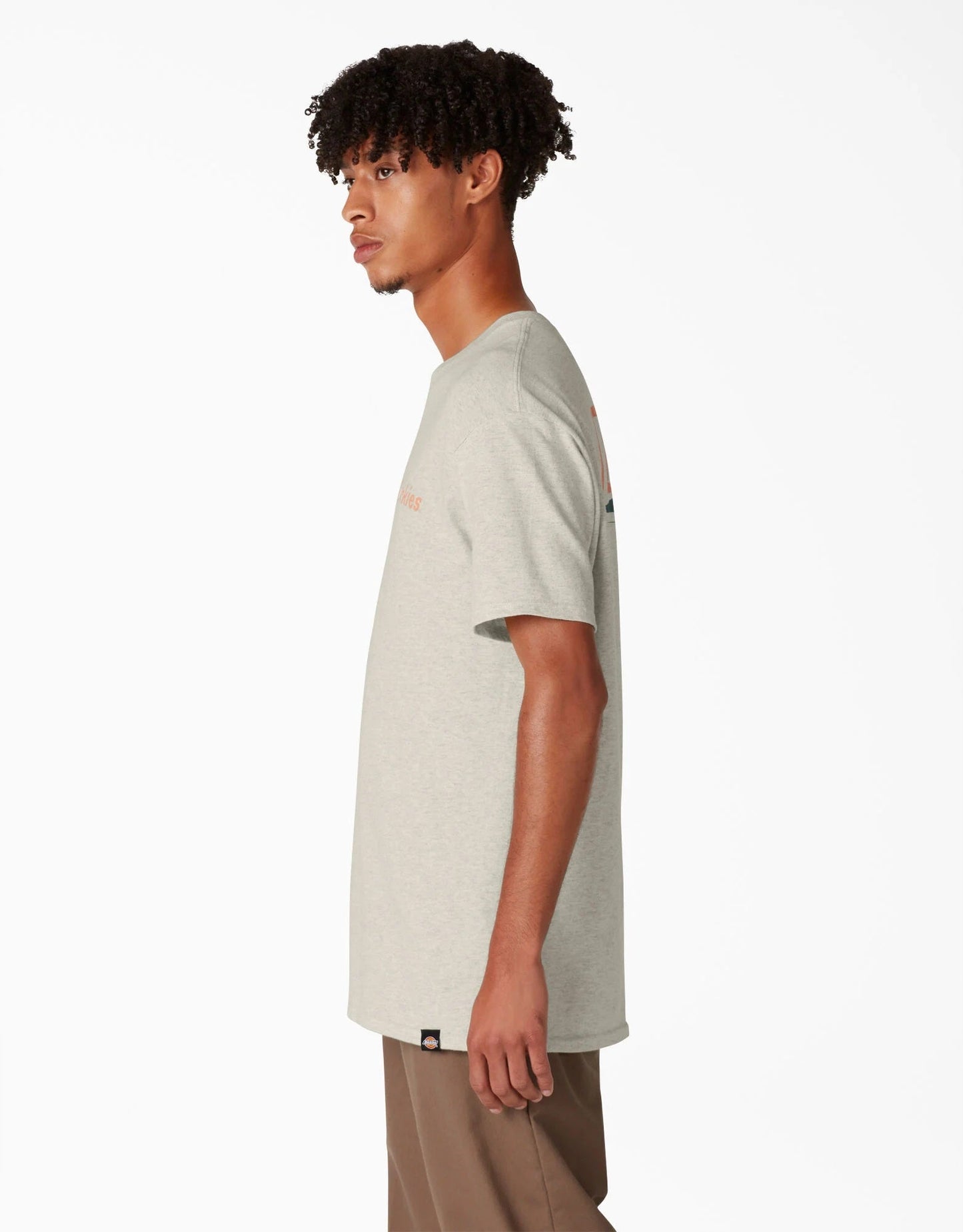 Dickies Skateboarding Split Graphic T-Shirt - Oatmeal Heather