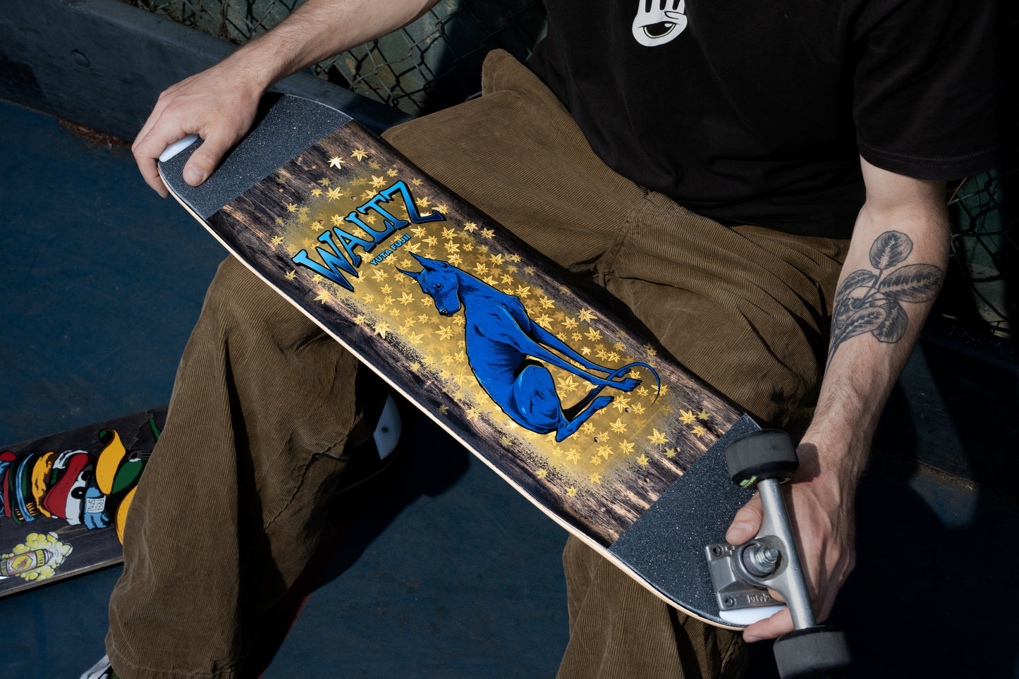 7.6” Yuta Fujii Hound Freestyle Deck