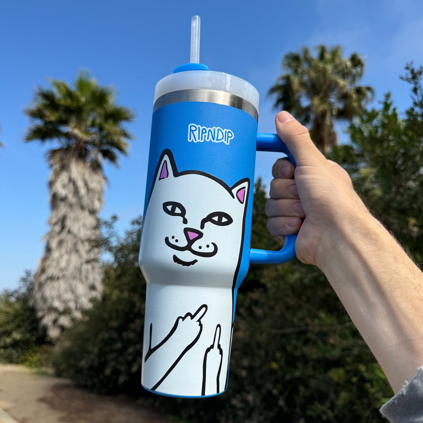 Lord Nermal Big Ol Cup Tumbler (Blue)