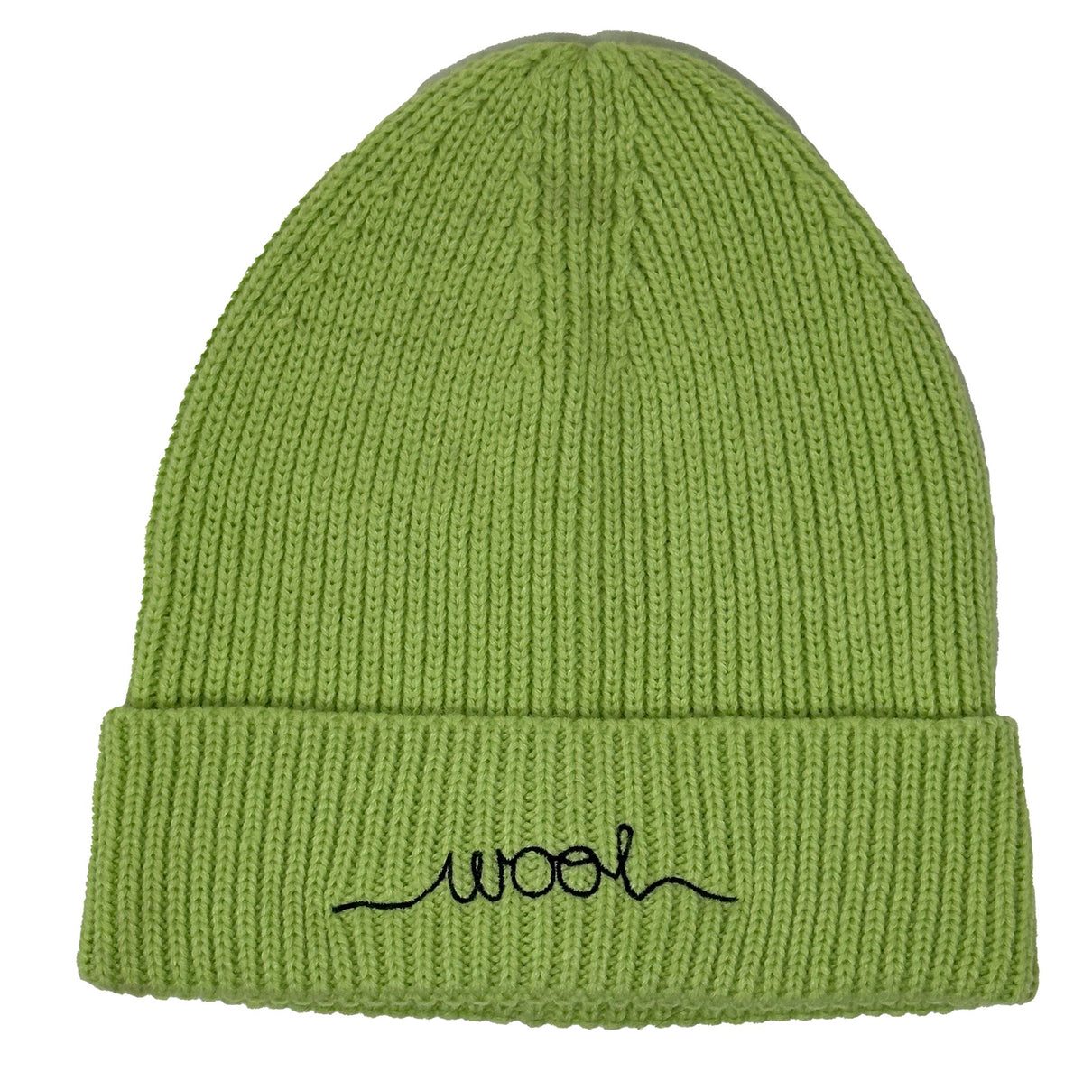 Softest Recycler Beanie